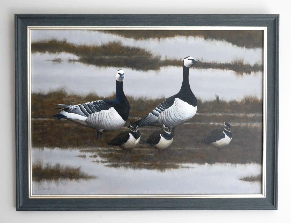 barnacle geese painting Bird Art by Chris Lodge