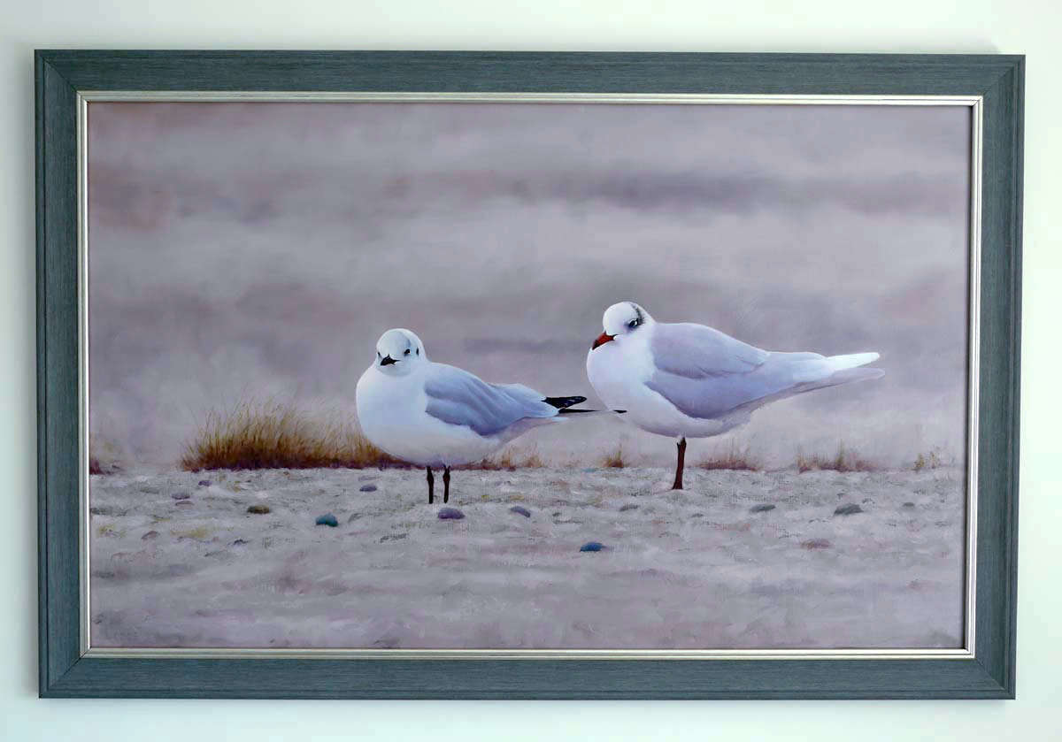 gulls painting Bird Art by Chris Lodge