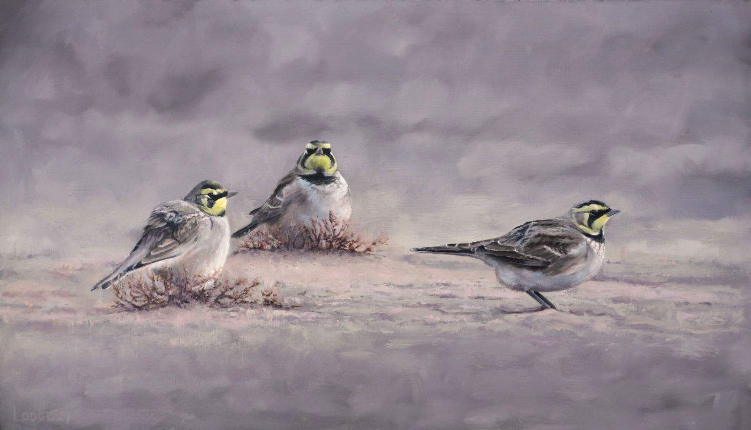 shorelarks painting by bird artist Chris Lodge