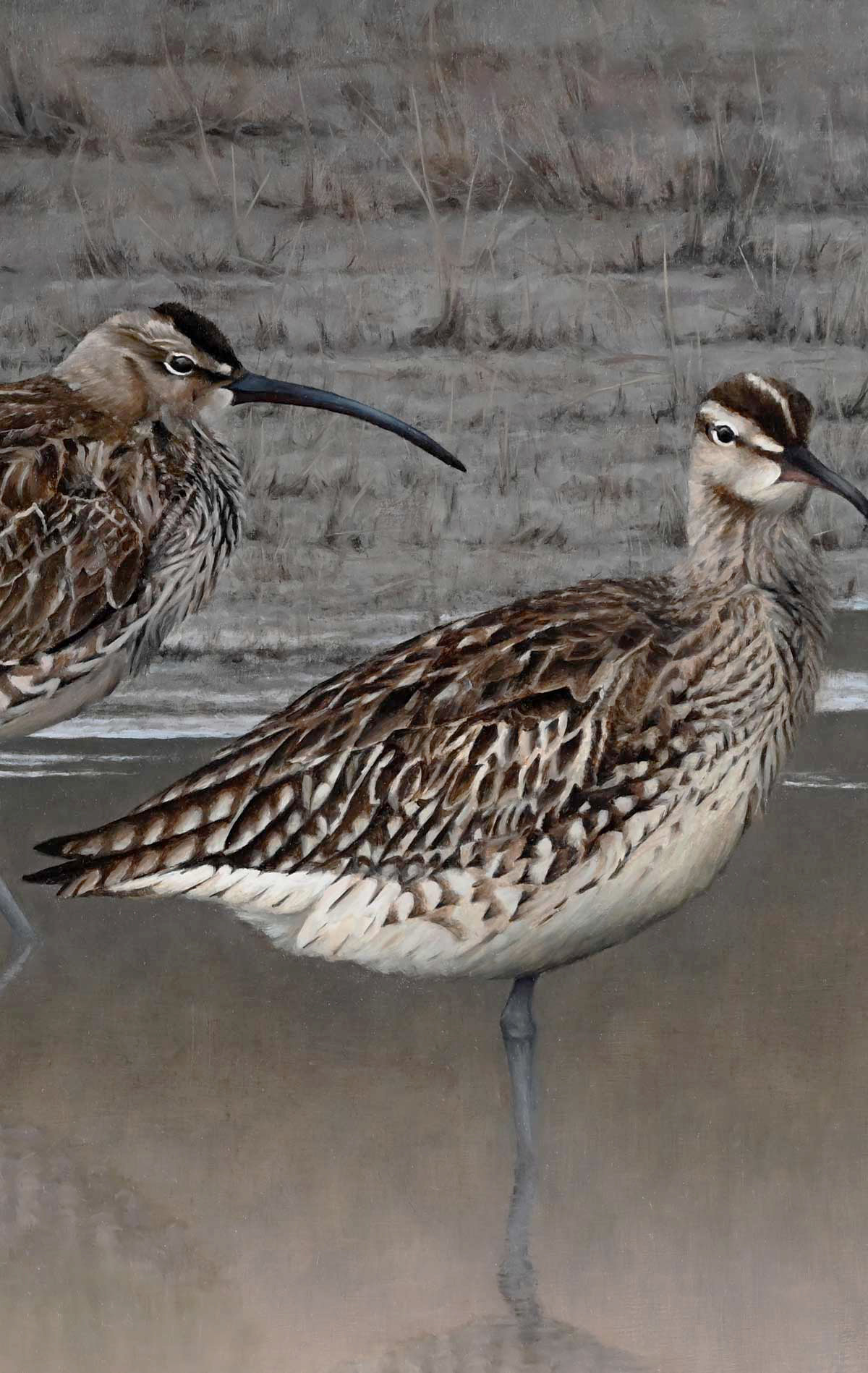 Whimbrels - Heading North - An Original Oil Painting By Bird Artist Chris Lodge