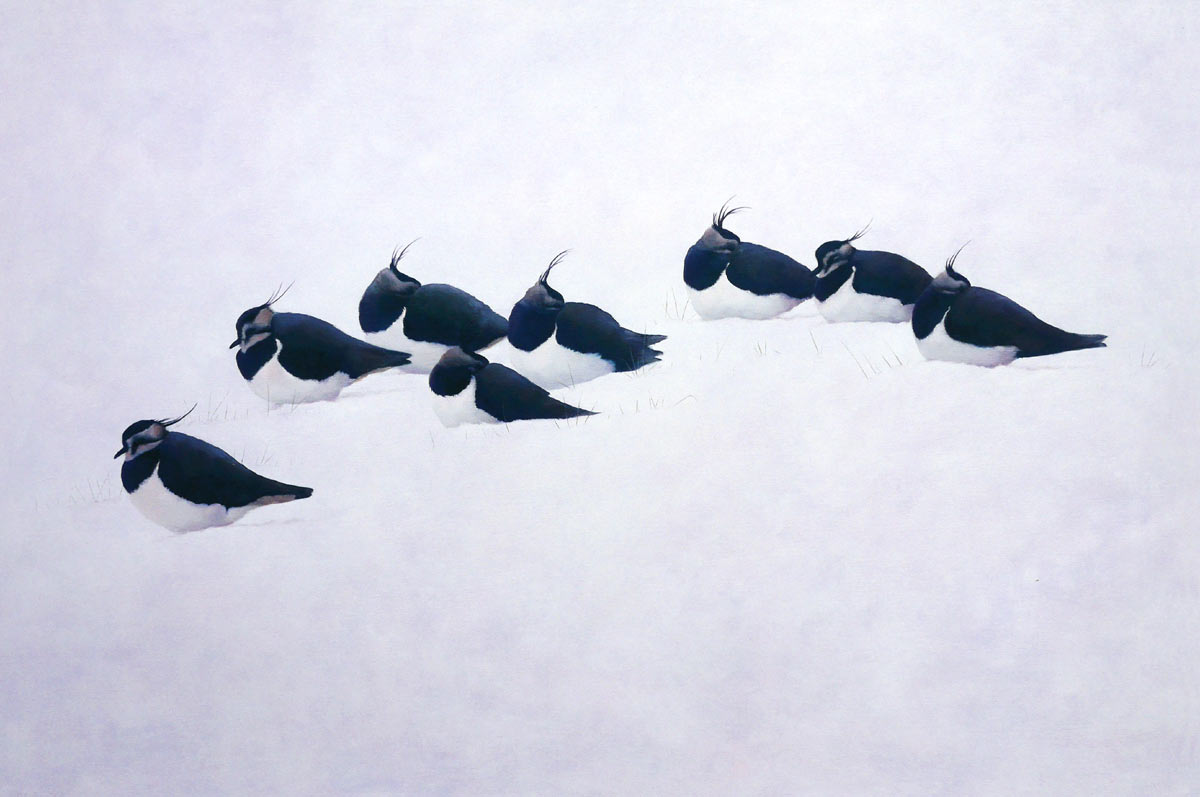 Lapwings in Snow Bird Print by Chris Lodge