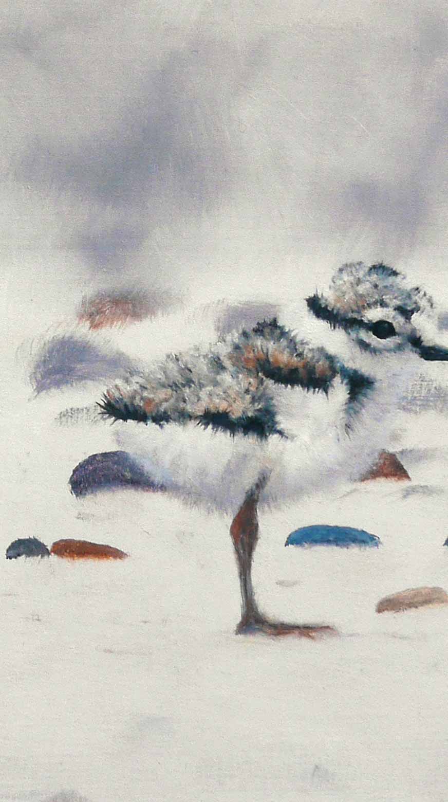 Ringed Plover and Chicks Bird Art Print